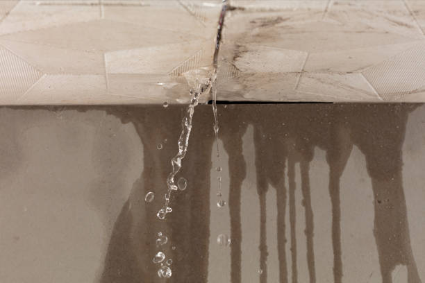 Professional Structural Drying technician working in Stewartsville, MO